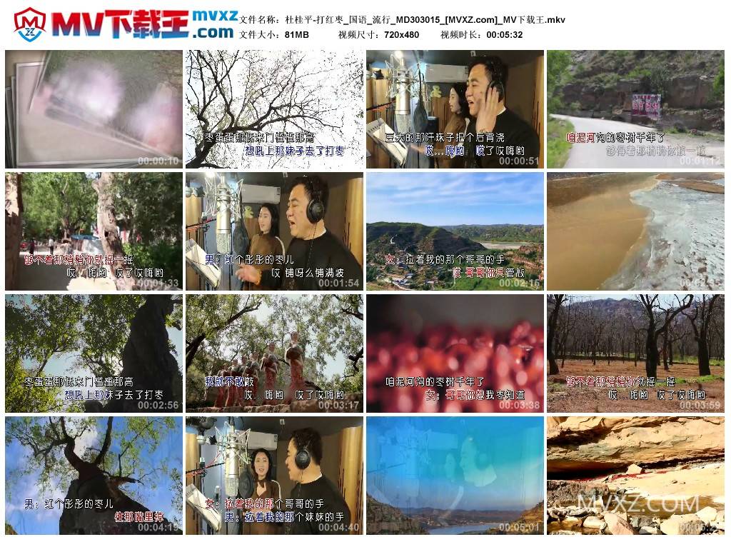 杜桂平-打红枣_国语_流行_MD303015